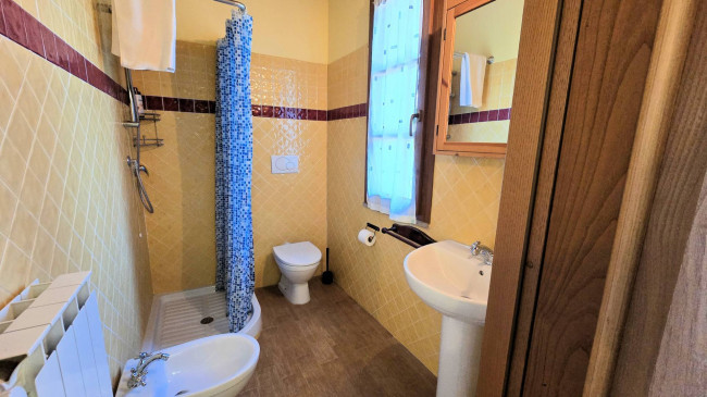 Piccola azienda agricola con casale di campagna in vendita a Palaia