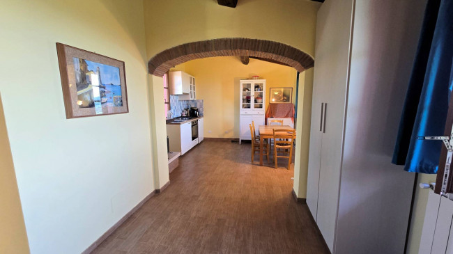 Piccola azienda agricola con casale di campagna in vendita a Palaia