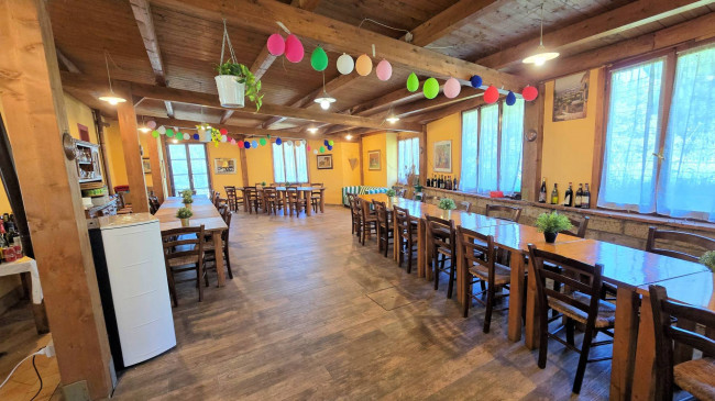 Piccola azienda agricola con casale di campagna in vendita a Palaia