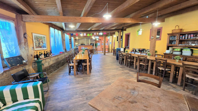 Piccola azienda agricola con casale di campagna in vendita a Palaia