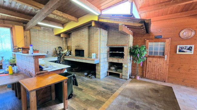 Piccola azienda agricola con casale di campagna in vendita a Palaia