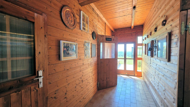 Piccola azienda agricola con casale di campagna in vendita a Palaia