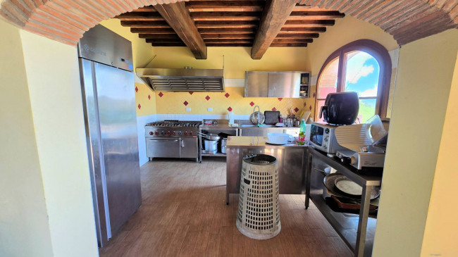 Piccola azienda agricola con casale di campagna in vendita a Palaia