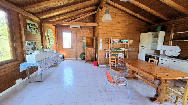 Piccola azienda agricola con casale di campagna in vendita a Palaia