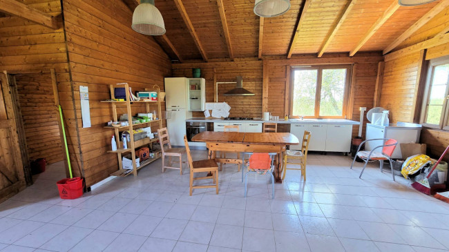 Piccola azienda agricola con casale di campagna in vendita a Palaia