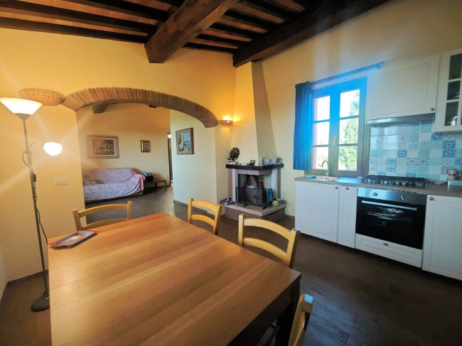 Piccola azienda agricola con casale di campagna in vendita a Palaia