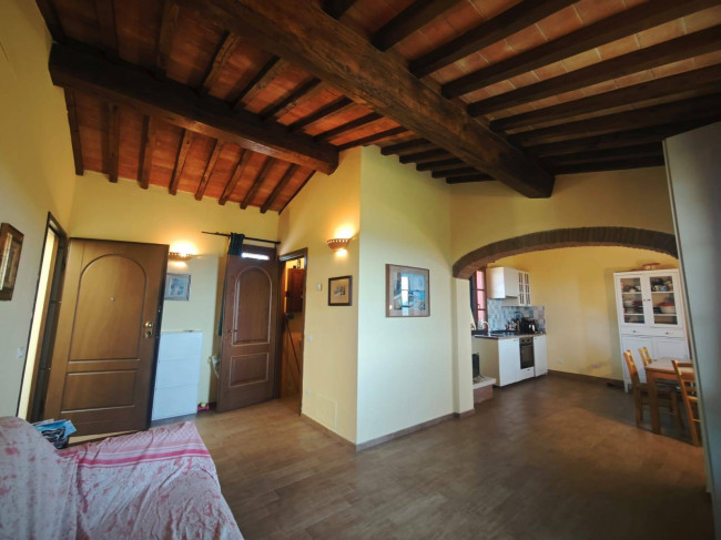 Piccola azienda agricola con casale di campagna in vendita a Palaia