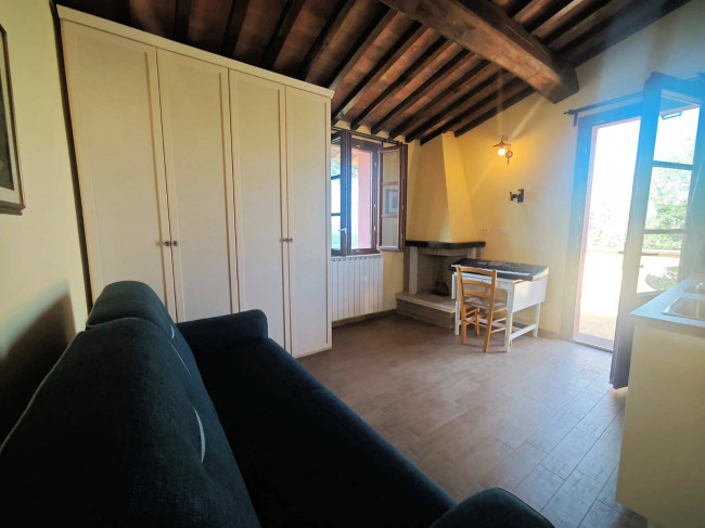 Piccola azienda agricola con casale di campagna in vendita a Palaia