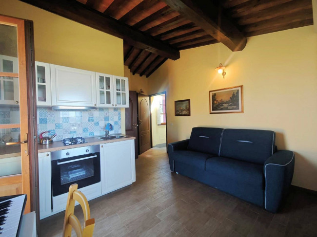 Piccola azienda agricola con casale di campagna in vendita a Palaia