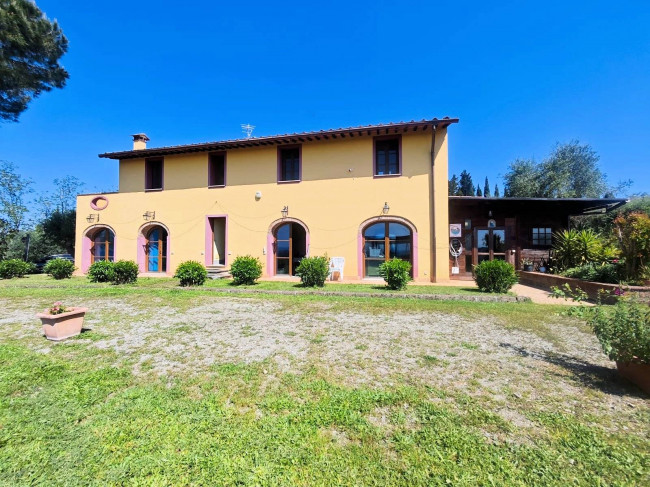 Piccola azienda agricola con casale di campagna in vendita a Palaia