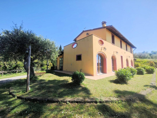 Piccola azienda agricola con casale di campagna in vendita a Palaia