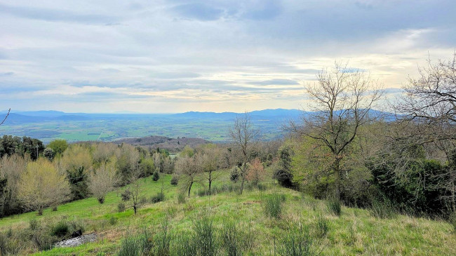 Rustico da ristrutturare con possibilità di ampliamento con vista panoramica fino al mare in vendita a Roccastrada