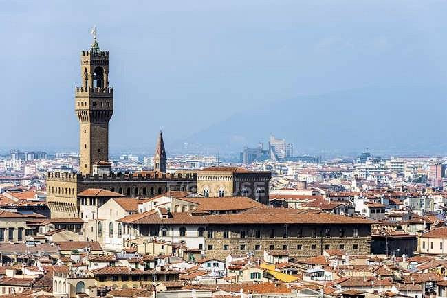 Proponiamo la vendita di ville nei dintorni di Firenze in vendita a Firenze