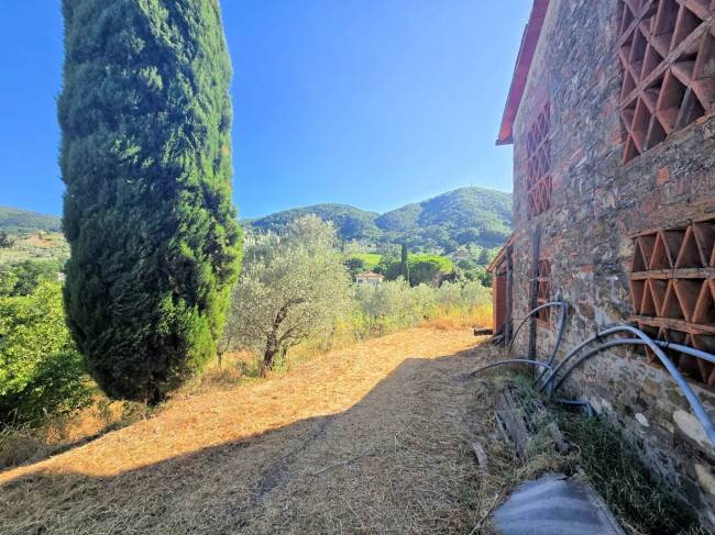 Podere da ristrutturare in posizione collinare in vendita a Quarrata