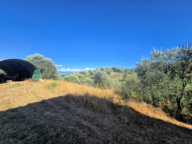 Podere da ristrutturare in posizione collinare in vendita a Quarrata
