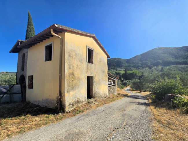 Podere da ristrutturare in posizione collinare in vendita a Quarrata