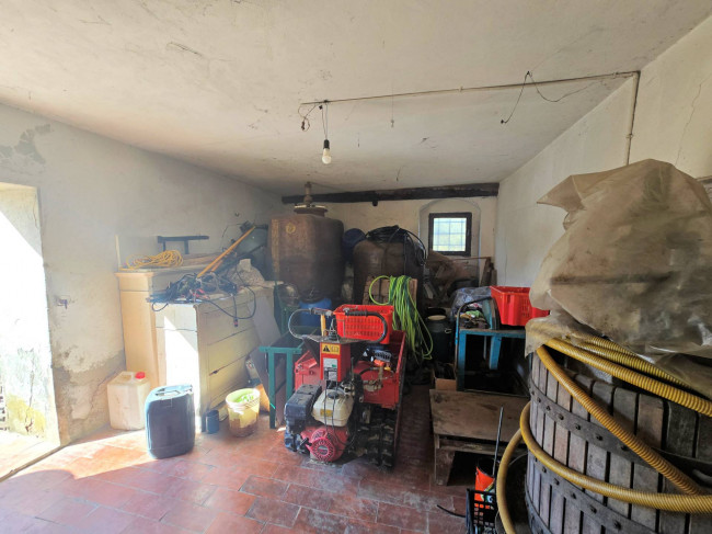 Casa indipendente da ristrutturare con ampio uliveto in vendita a Quarrata