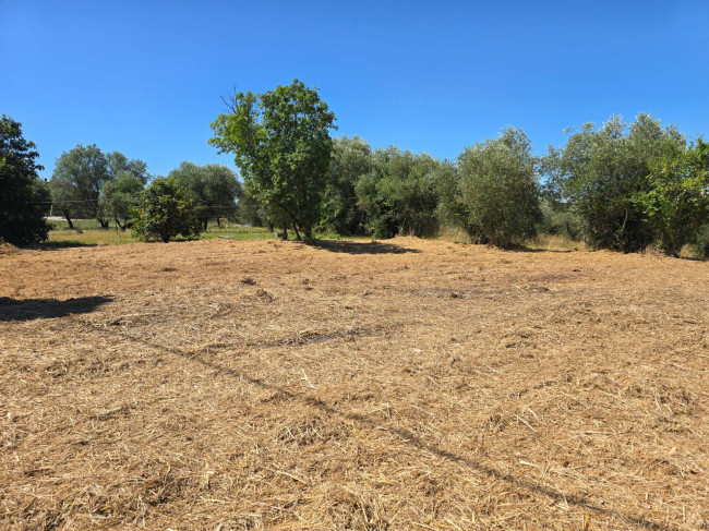 Porzione terratetto di villa bifamiliare da realizzare in vendita a Fucecchio