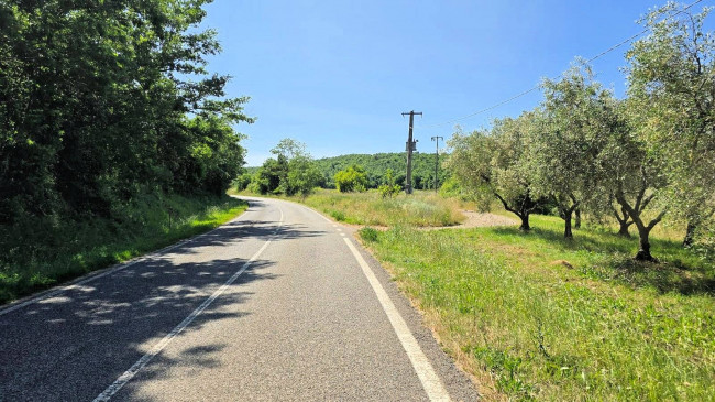 Terreno per azienda agricola in posizione stupenda in vendita a Massa Marittima