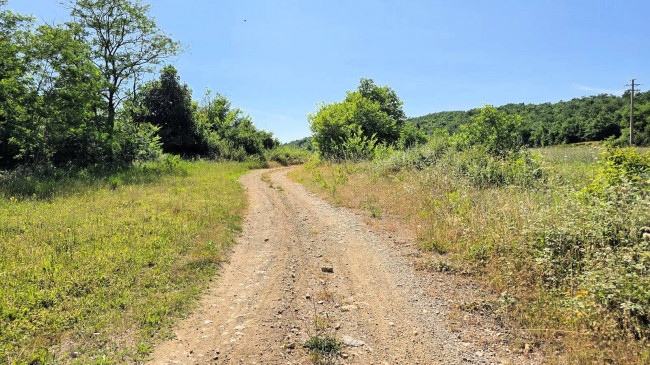 Terreno per azienda agricola in posizione stupenda in vendita a Massa Marittima