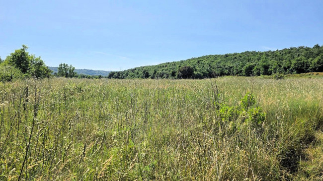 Terreno per azienda agricola in posizione stupenda in vendita a Massa Marittima