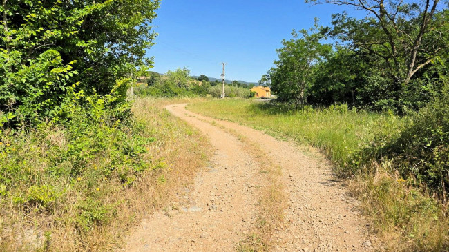 Terreno per azienda agricola in posizione stupenda in vendita a Massa Marittima