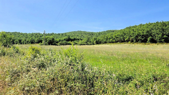 Terreno per azienda agricola in posizione stupenda in vendita a Massa Marittima