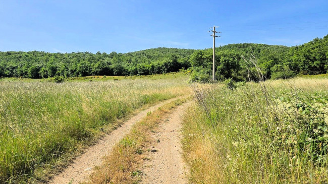 Terreno per azienda agricola in posizione stupenda in vendita a Massa Marittima