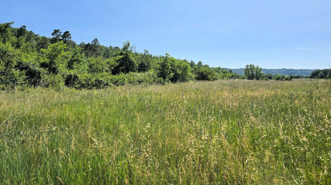 Terreno per azienda agricola in posizione stupenda in vendita a Massa Marittima