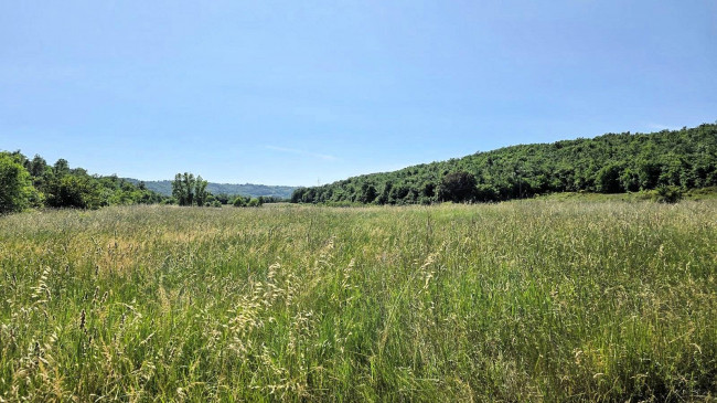 Terreno per azienda agricola in posizione stupenda in vendita a Massa Marittima