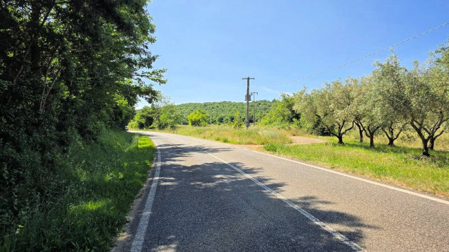 Terreno per azienda agricola in posizione stupenda in vendita a Massa Marittima