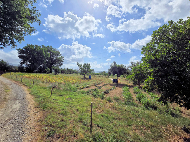 Porzione terratetto di villetta bifamiliare con annessi e ampio terreno in posizione panoramica in vendita a Barberino di Mugello