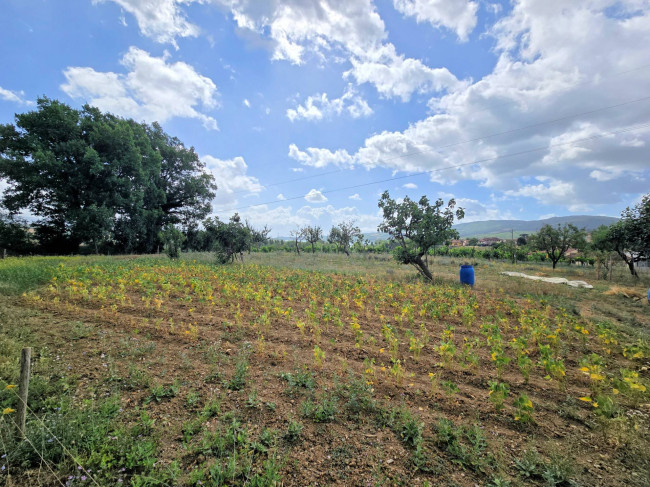 Porzione terratetto di villetta bifamiliare con annessi e ampio terreno in posizione panoramica in vendita a Barberino di Mugello