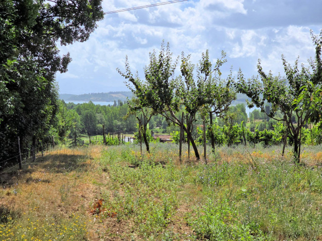 Porzione terratetto di villetta bifamiliare con annessi e ampio terreno in posizione panoramica in vendita a Barberino di Mugello