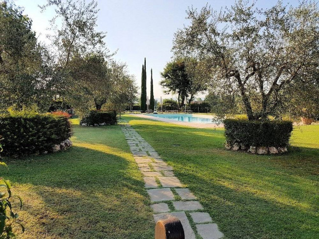 Agriturismo di ampia superficie con vigneto piscina in posizione panoramica in vendita a Loro Ciuffenna