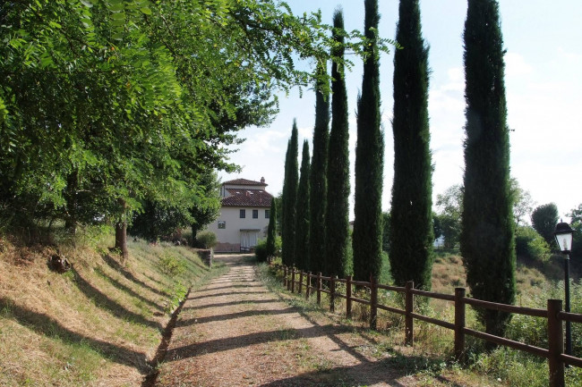 Agriturismo di ampia superficie con vigneto piscina in posizione panoramica in vendita a Loro Ciuffenna