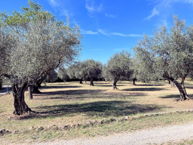 Villa ristrutturata con parco in vendita a Pitigliano