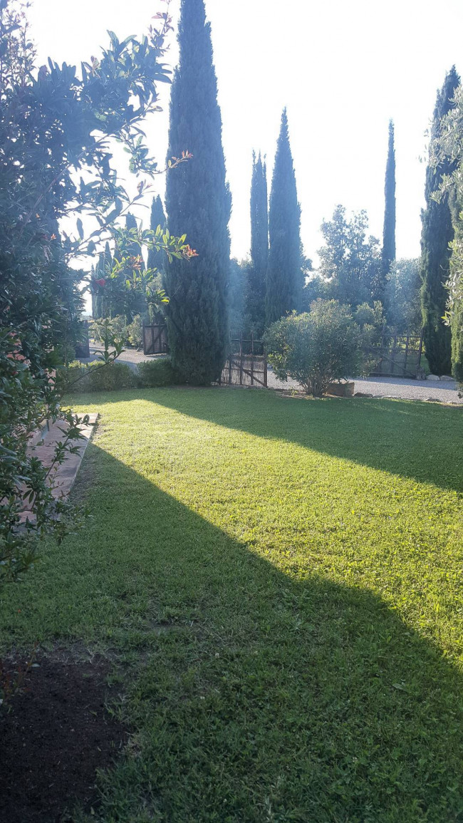 Casale con piscina parco in posizione panoramica in vendita a Magliano in Toscana