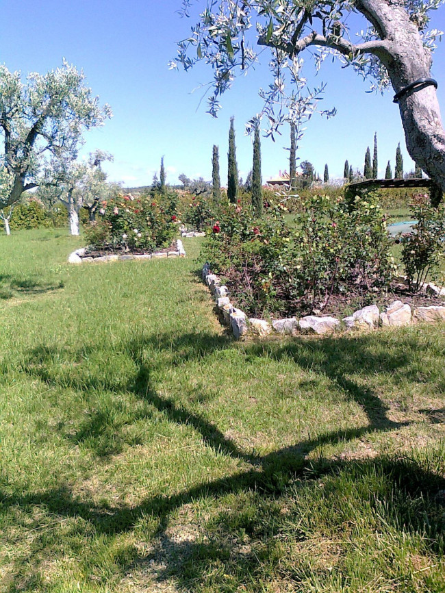 Casale con piscina parco in posizione panoramica in vendita a Magliano in Toscana