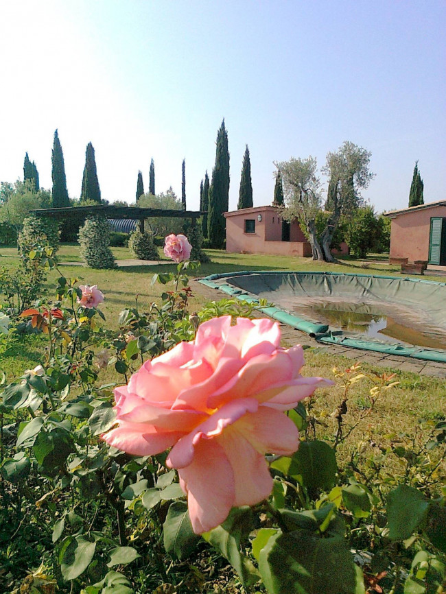 Casale con piscina parco in posizione panoramica in vendita a Magliano in Toscana