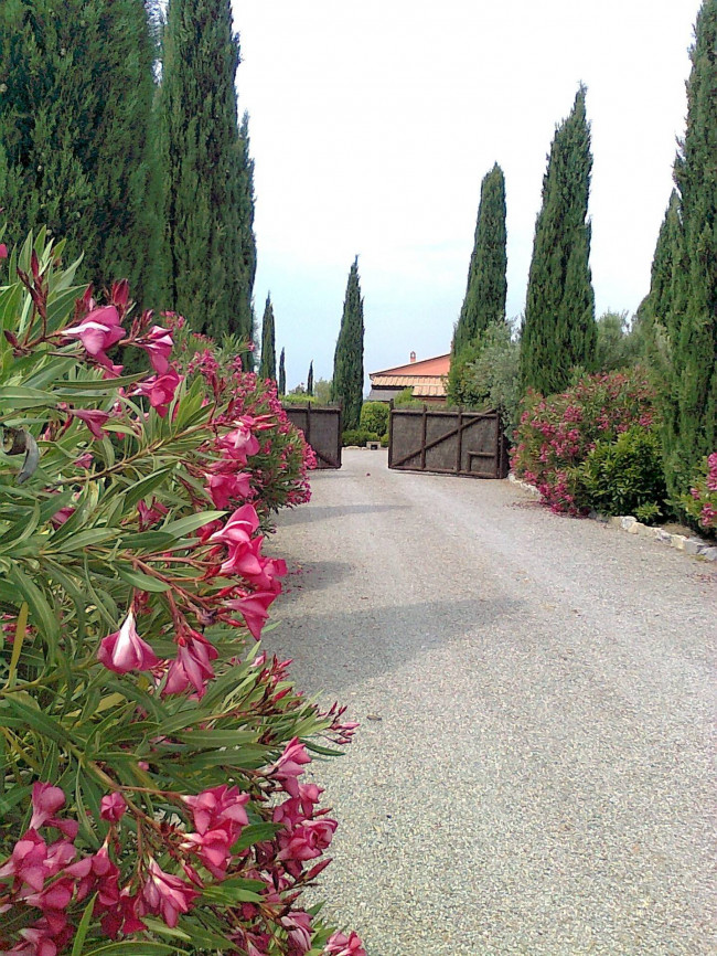 Casale con piscina parco in posizione panoramica in vendita a Magliano in Toscana
