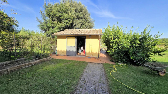 Porzione terratetto di rustico Toscano ristrutturato con giardino in vendita a Grosseto