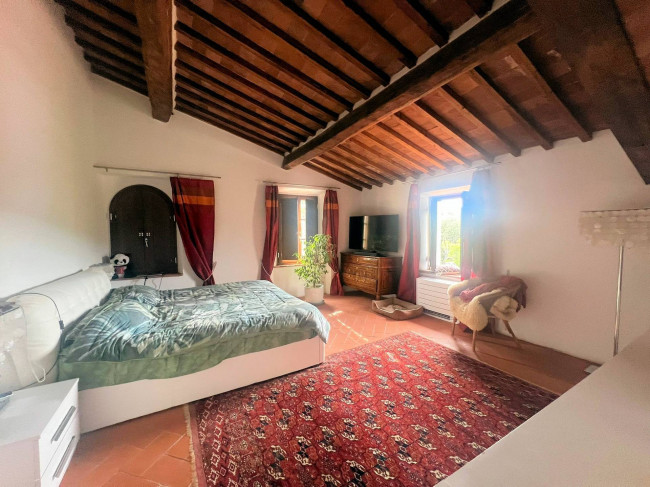 Prestigiosa azienda agricola con agriturismo e terreni in vendita a Massa Marittima