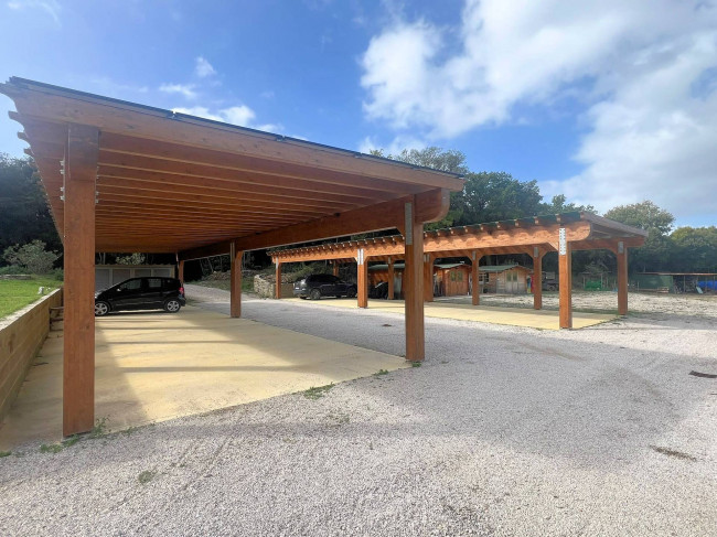 Prestigiosa azienda agricola con agriturismo e terreni in vendita a Massa Marittima