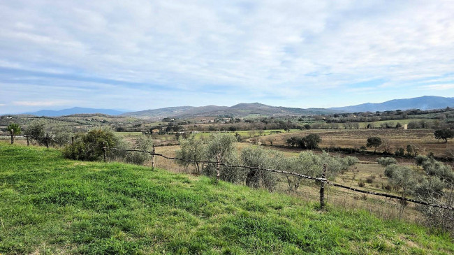 Villetta unifamiliare con ampio giardino e vista panoramica in vendita a Gavorrano