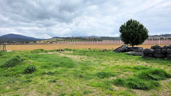 Rustico di ampia superficie da ristrutturare con terreno in vendita a Roccastrada