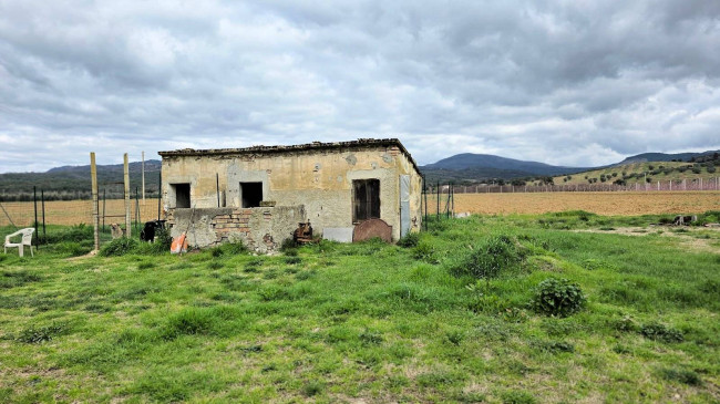 Rustico di ampia superficie da ristrutturare con terreno in vendita a Roccastrada