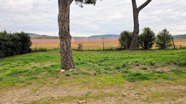 Rustico di ampia superficie da ristrutturare con terreno in vendita a Roccastrada