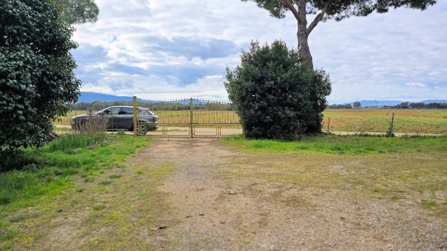 Rustico di ampia superficie da ristrutturare con terreno in vendita a Roccastrada