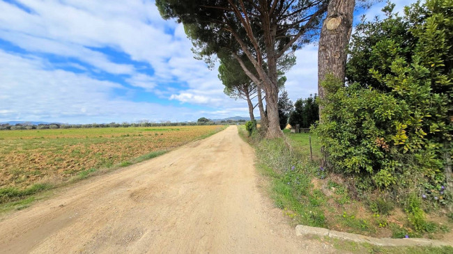 Rustico di ampia superficie da ristrutturare con terreno in vendita a Roccastrada